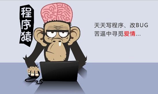 程序員單身率最高，近三成職場人為了脫單逃離北上廣 